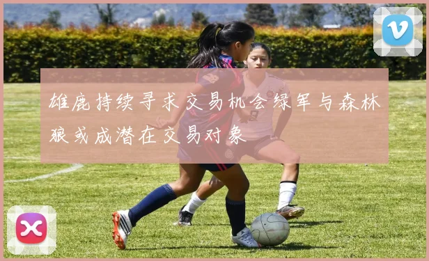 雄鹿持续寻求交易机会绿军与森林狼或成潜在交易对象